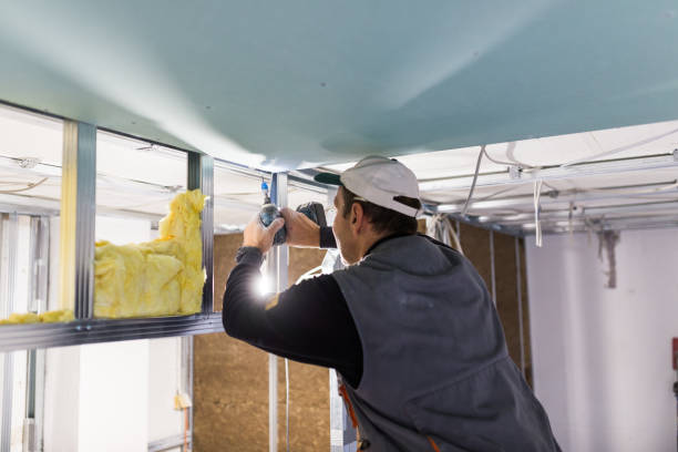Best Insulation Installation Services in Bishopville, SC