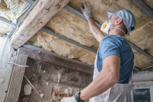 Best Insulation Materials and Products in Bishopville, SC